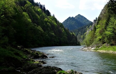 Dunajec w otoczeniu zielonych gór